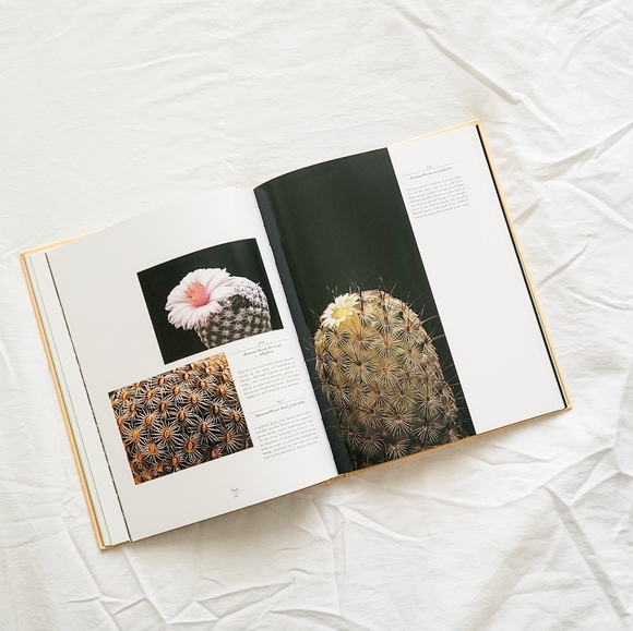 Cacti Book - Picture 3 of 4